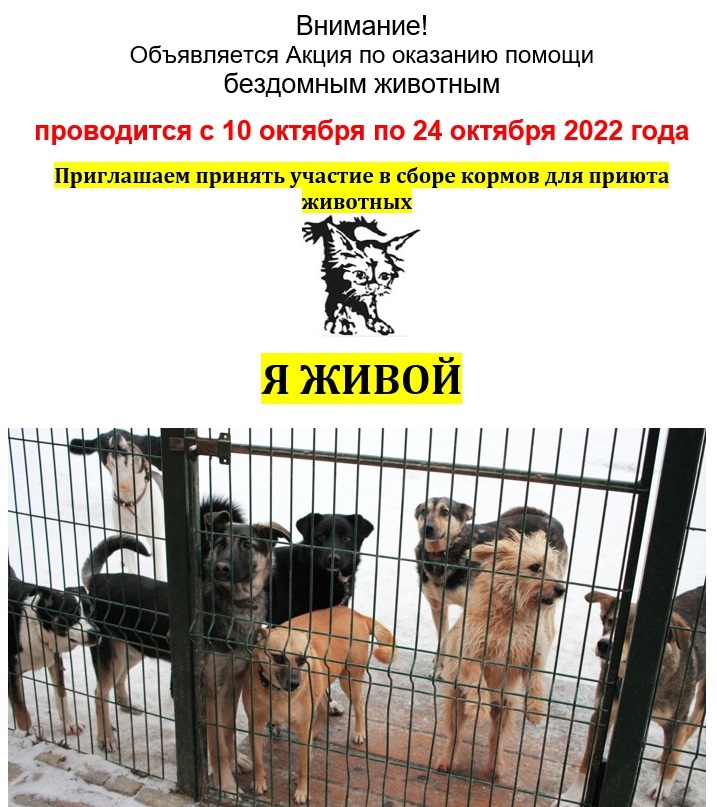 Объявление
