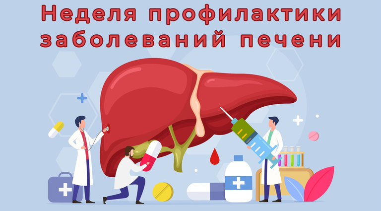 зож печень